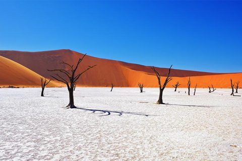 Namibia, Africa, cheap flights, cruise deals, holiday packages, travel insurance